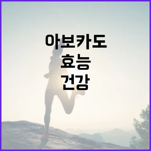 아보카도의 건강 효능을 최대한 활용하는 방법 - 요약