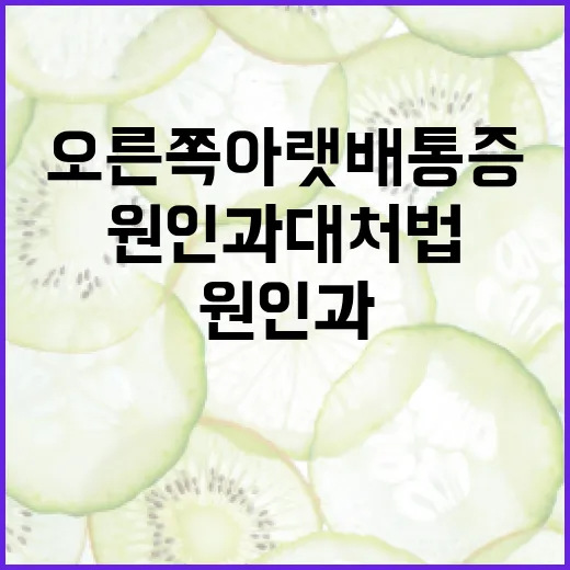 오른쪽 아랫배 통증을 해결하는 방법: 원인과 대처법 - 요약