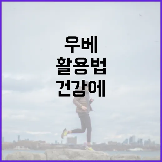 우베의 의미와 건강에 좋은 활용법 - 요약