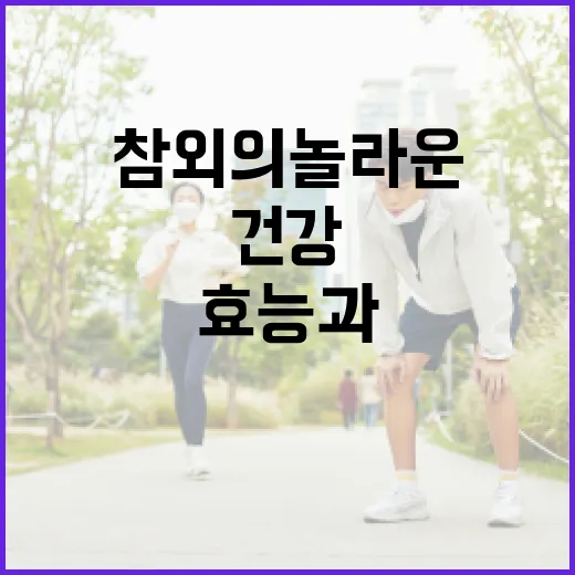 참외의 놀라운 효능과 건강하게 섭취하는 방법 - 요약