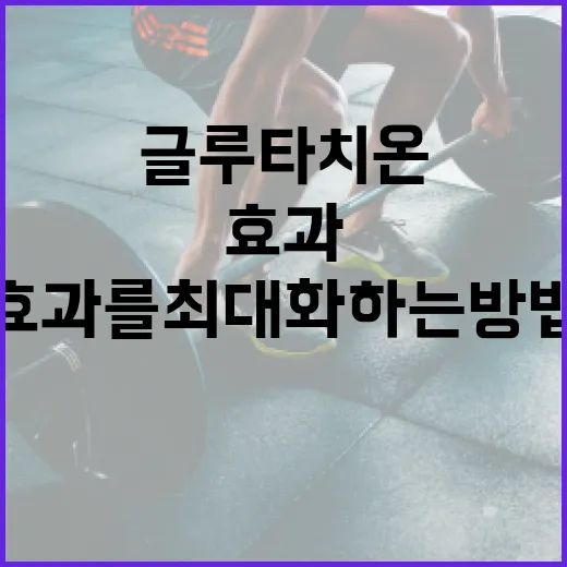 글루타치온 효과를 최대화하는 방법 - 요약