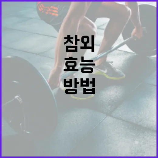 참외의 건강 효능을 최대화하는 방법 - 요약