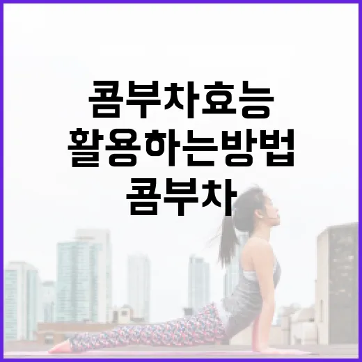 콤부차 효능을 최대한 활용하는 방법 - 요약