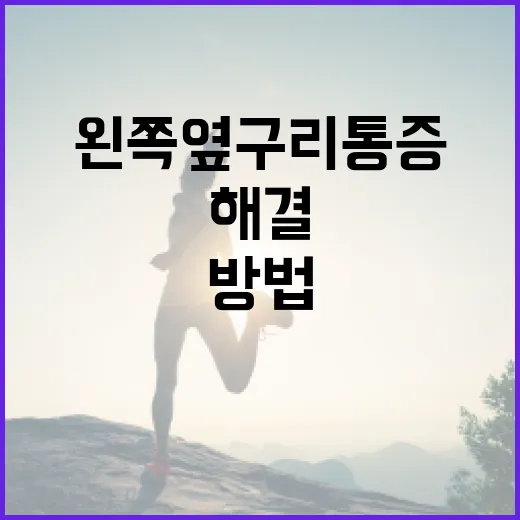왼쪽 옆구리 통증을 해결하는 방법 - 요약