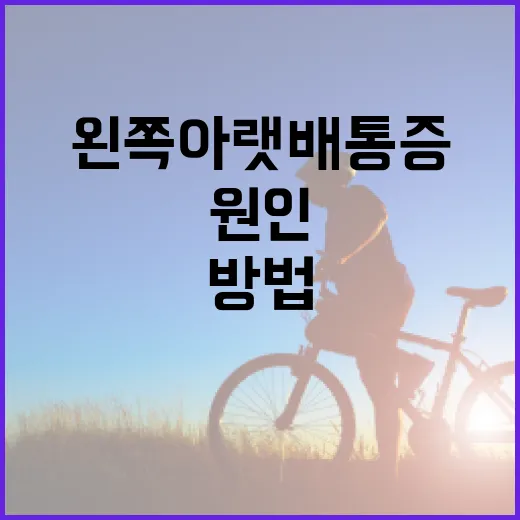 왼쪽 아랫배 통증을 완화하는 방법과 원인 알아보기 - 요약