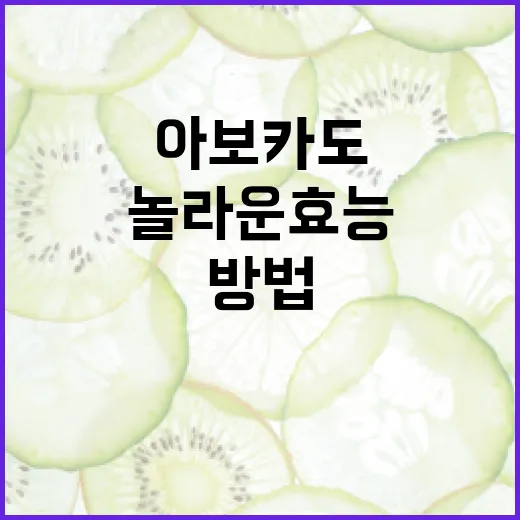 아보카도의 놀라운 효능을 활용하는 방법 - 요약