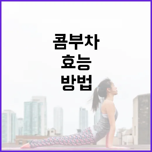 콤부차의 효능을 극대화하는 방법 - 요약