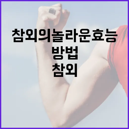 참외의 놀라운 효능을 알아보는 방법 - 요약
