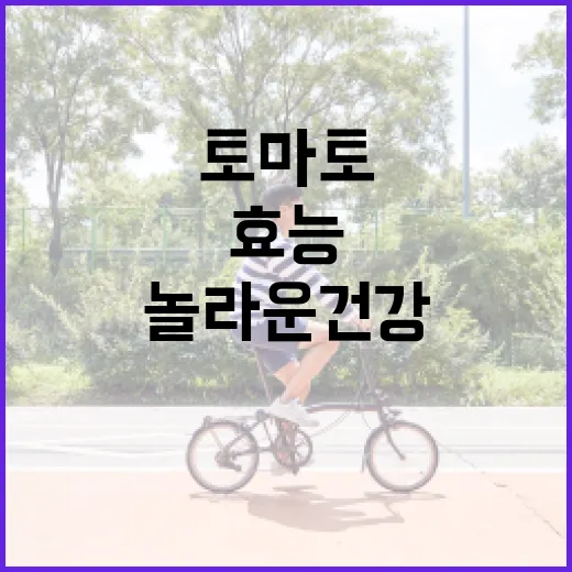 토마토의 놀라운 건강 효능을 극대화하는 방법 - 요약