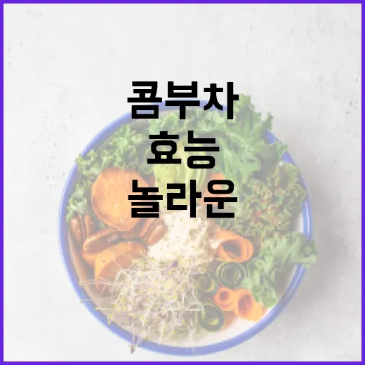 콤부차의 놀라운 효능을 알아보는 방법 - 요약