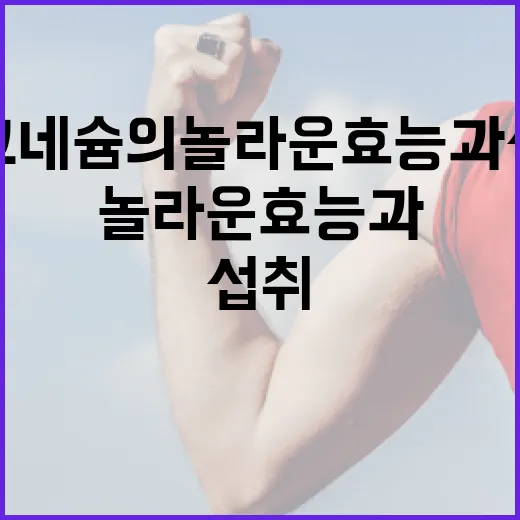 마그네슘의 놀라운 효능과 섭취 방법 - 요약