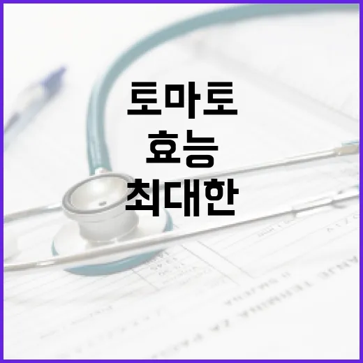 토마토의 효능을 최대한 활용하는 방법 - 요약