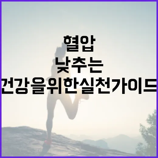 혈압을 낮추는 방법: 건강을 위한 실천 가이드 - 요약