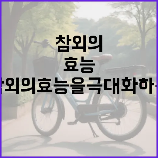 참외의 효능을 극대화하는 방법 - 요약