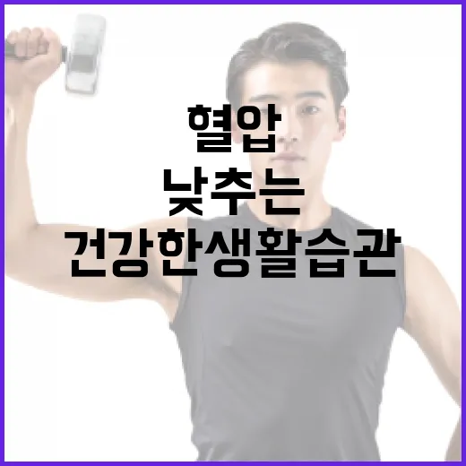 혈압 낮추는 방법: 건강한 생활습관으로 안전하게 - 요약