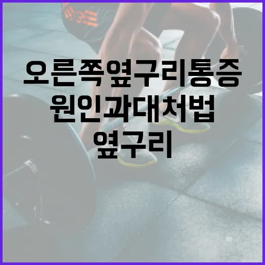 오른쪽 옆구리 통증 해결 방법: 원인과 대처법 - 요약