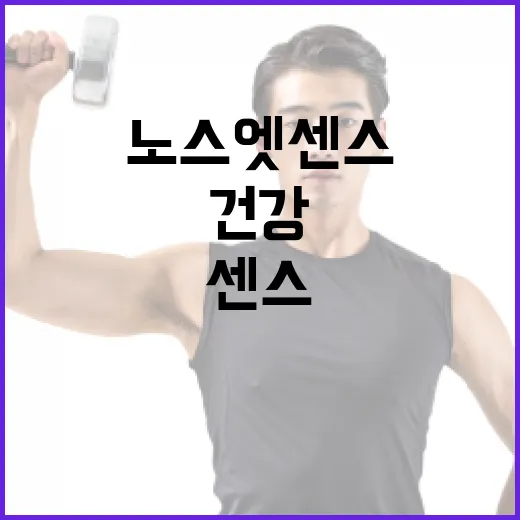 노스엣센스를 활용하여 건강을 증진하는 방법 - 요약