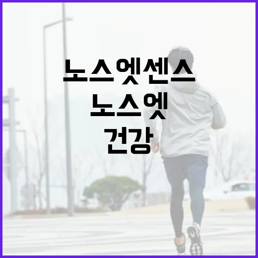 노스엣센스를 활용하여 건강을 지키는 방법 - 요약