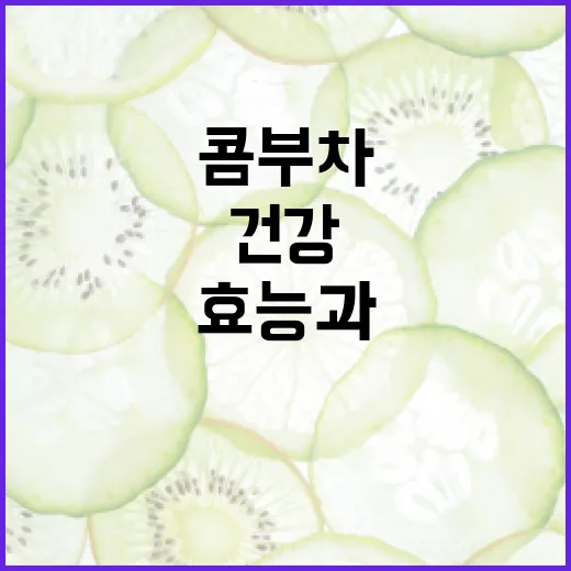 콤부차의 효능과 건강하게 즐기는 방법 - 요약