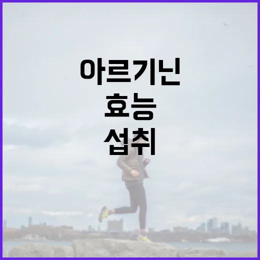 아르기닌의 효능과 효과적으로 섭취하는 방법 - 요약