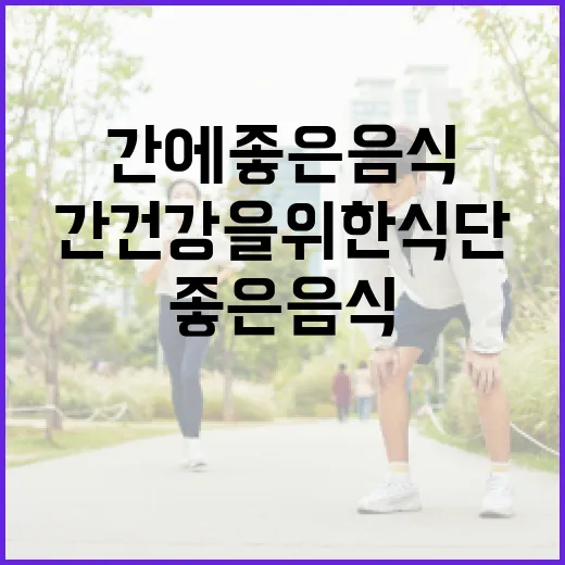 간 건강을 위한 식단: 간에 좋은 음식을 알아보는 방법 - 요약
