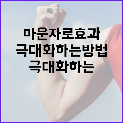 마운자로 효과를 극대화하는 방법 - 요약
