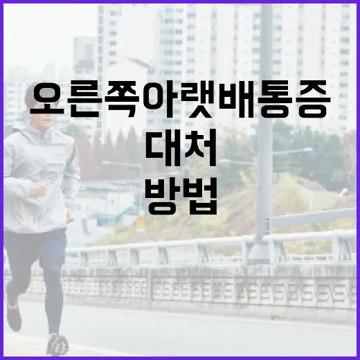 오른쪽 아랫배 통증을 이해하고 대처하는 방법 - 요약