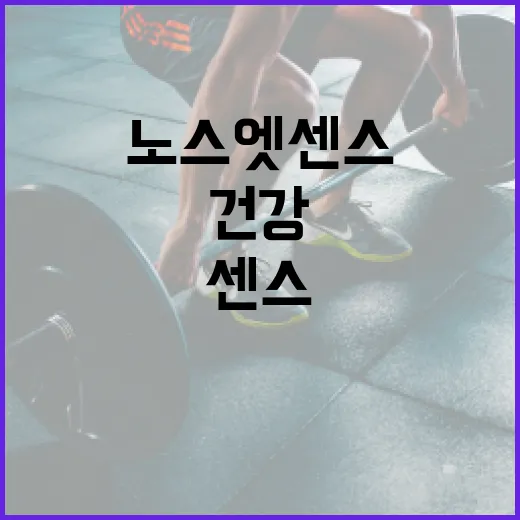 노스엣센스를 활용하여 건강을 증진하는 방법 - 요약