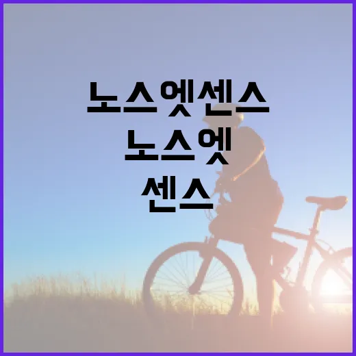 노스엣센스를 통해 건강을 개선하는 방법 - 요약