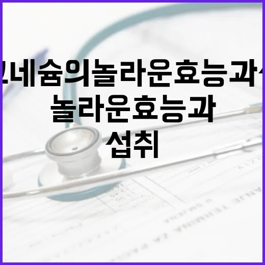 마그네슘의 놀라운 효능과 섭취 방법 - 요약