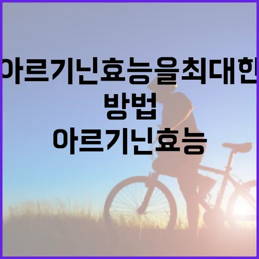아르기닌 효능을 최대한 활용하는 방법 - 요약