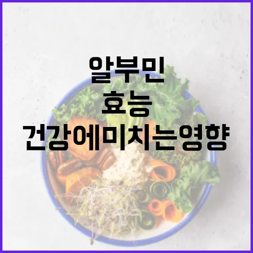 알부민의 효능과 건…
