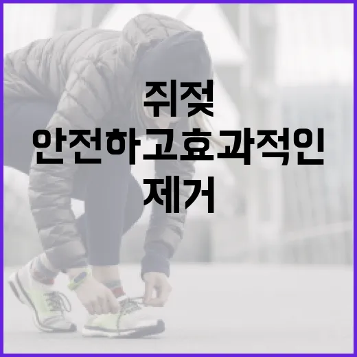 쥐젖 제거하는 방법: 안전하고 효과적인 가이드 - 요약
