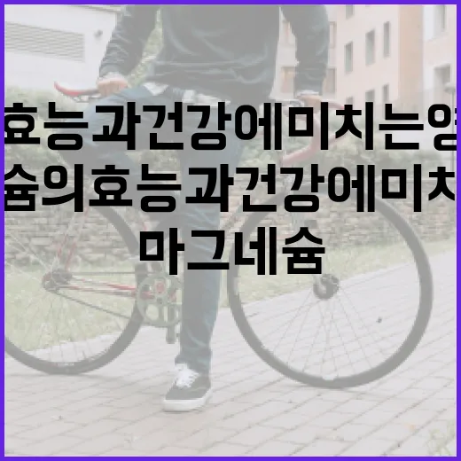마그네슘의 효능과 건강에 미치는 영향 알아보기 - 요약