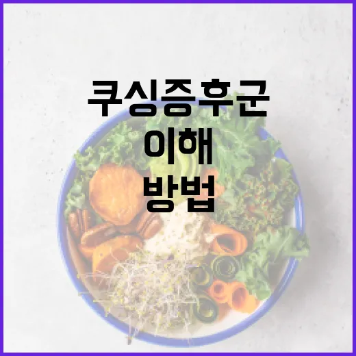 쿠싱증후군을 이해하고 예방하는 방법 - 요약