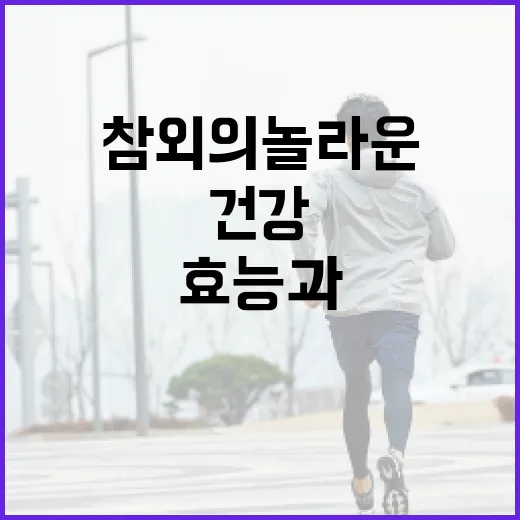 참외의 놀라운 효능과 건강하게 섭취하는 방법 - 요약