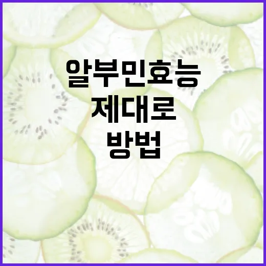 알부민 효능을 제대로 이해하는 방법 - 요약