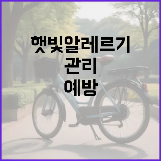 햇빛 알레르기를 예방하고 관리하는 방법 - 요약
