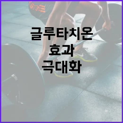 글루타치온 효과를 극대화하는 방법 - 요약