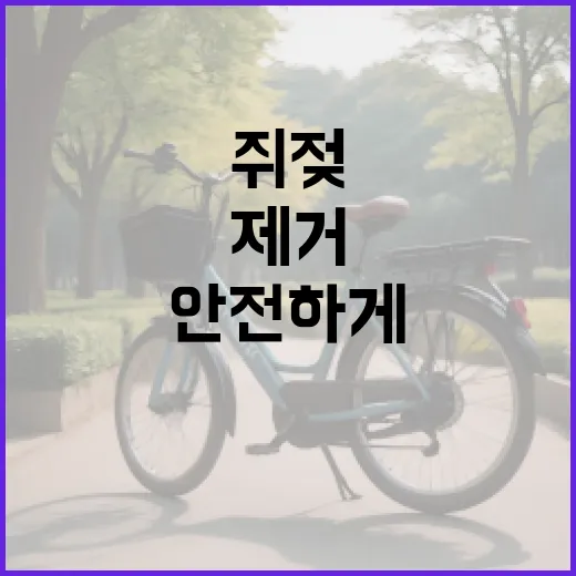 쥐젖을 안전하게 제거하는 방법 - 요약