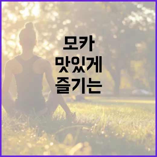 아일릿 모카를 즐기는 방법: 건강하고 맛있게 - 요약