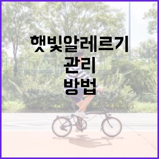 햇빛 알레르기를 관리하는 방법 - 요약