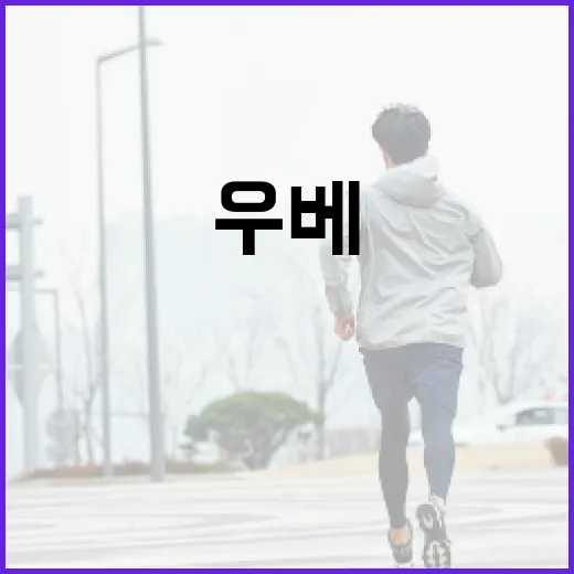 우베의 뜻과 이를 활용하는 방법 - 요약