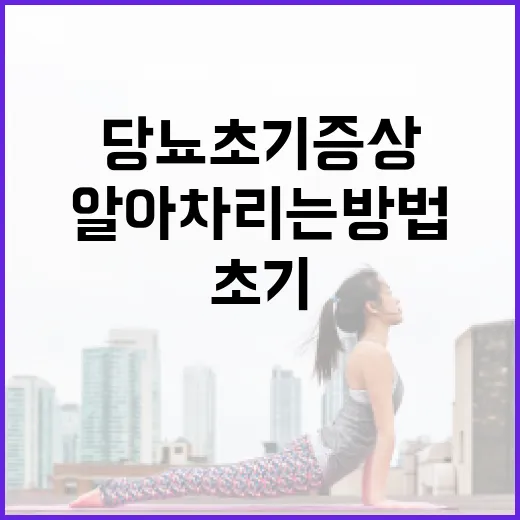 당뇨 초기증상을 알아차리는 방법 - 요약