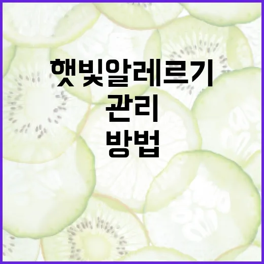 햇빛 알레르기를 관리하는 방법 - 요약