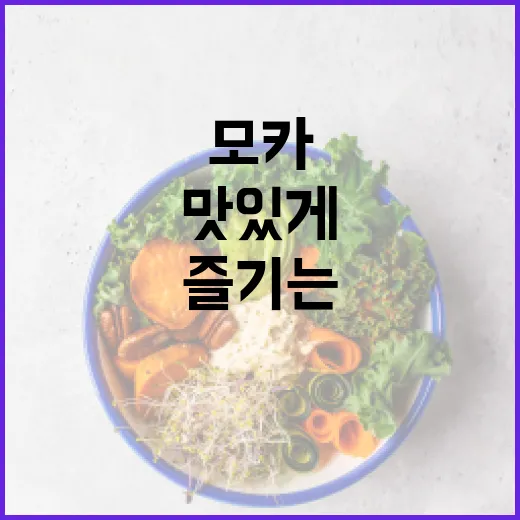 아일릿 모카를 즐기는 방법: 건강하고 맛있게 - 요약