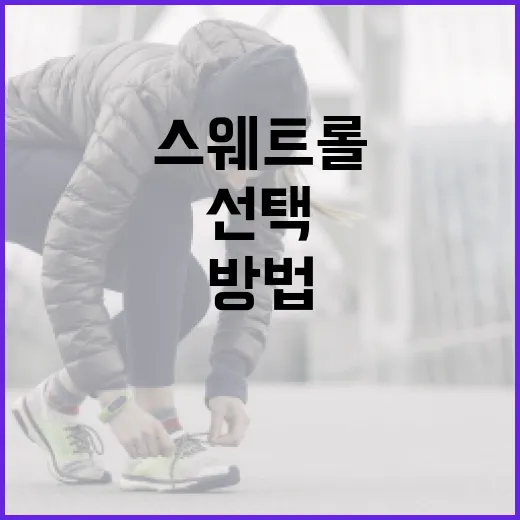 스웨트롤을 선택하고 활용하는 방법 - 요약