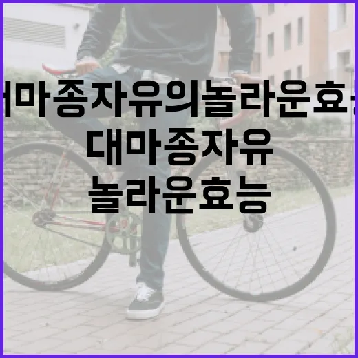 대마종자유의 놀라운 효능을 알아보는 방법 - 요약