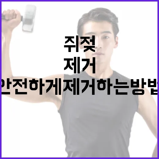 쥐젖을 안전하게 제거하는 방법: 전문가 가이드 - 요약