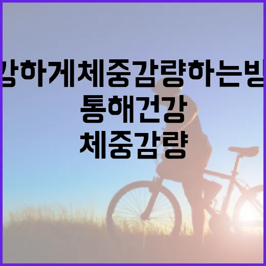 스웨트롤을 통해 건강하게 체중 감량하는 방법 - 요약